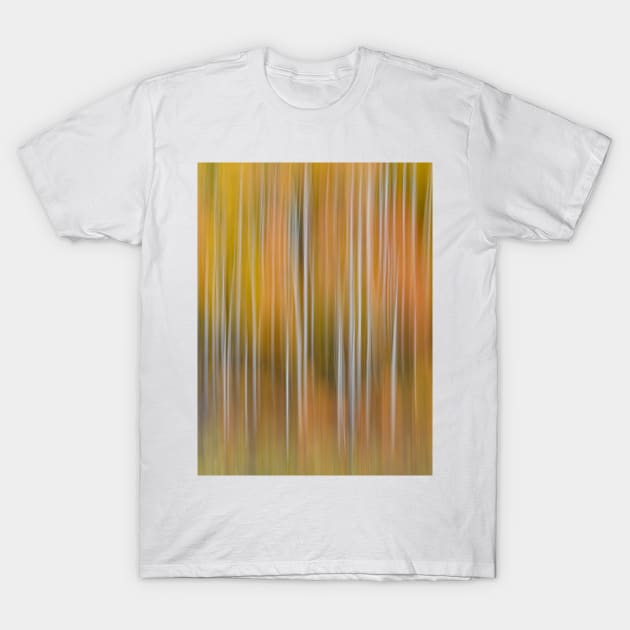 Abstract Aspens T-Shirt by StacyWhite